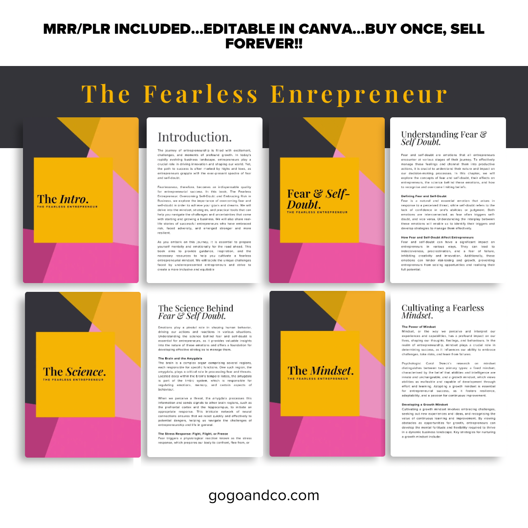 The Fearless Entrepreneur